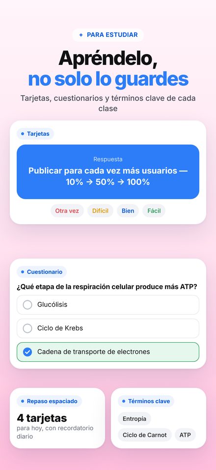 Estudio