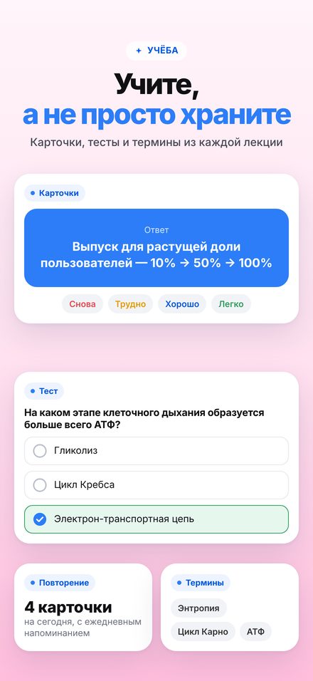 Учёба