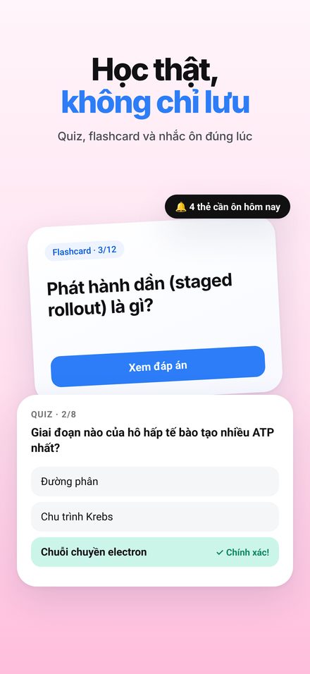 Ôn tập